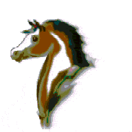 anpaint.gif